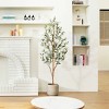 DR.Planzen 4-7ft Artificial Olive Tree Tall Faux Silk Plant Fake Potted Tree with Natural Wood Trunk and Lifelike Fruits for Home Office Decor Indoor - 4 of 4