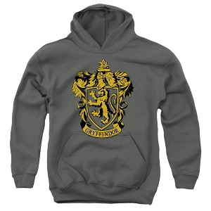 Boys’ Harry Potter Gryffindor Crest Hooded Sweatshirt - 1 of 4