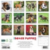 Willow Creek Press 2026 Boxer Puppies Wall Calendar - 2 of 4