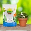 Soil Sunrise Acid Loving Plant Potting Soil Mix, Premium Container Blend pH Balanced for Azaleas, Rhododendrons, Blueberries and More - 2 of 4