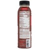 REBBL Chocolate Protein Shake - 12 fl oz - 3 of 3