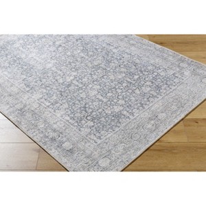 Hauteloom Thera Living Room, Bedroom Machine Washable Area Rug - Traditional - 1 of 4