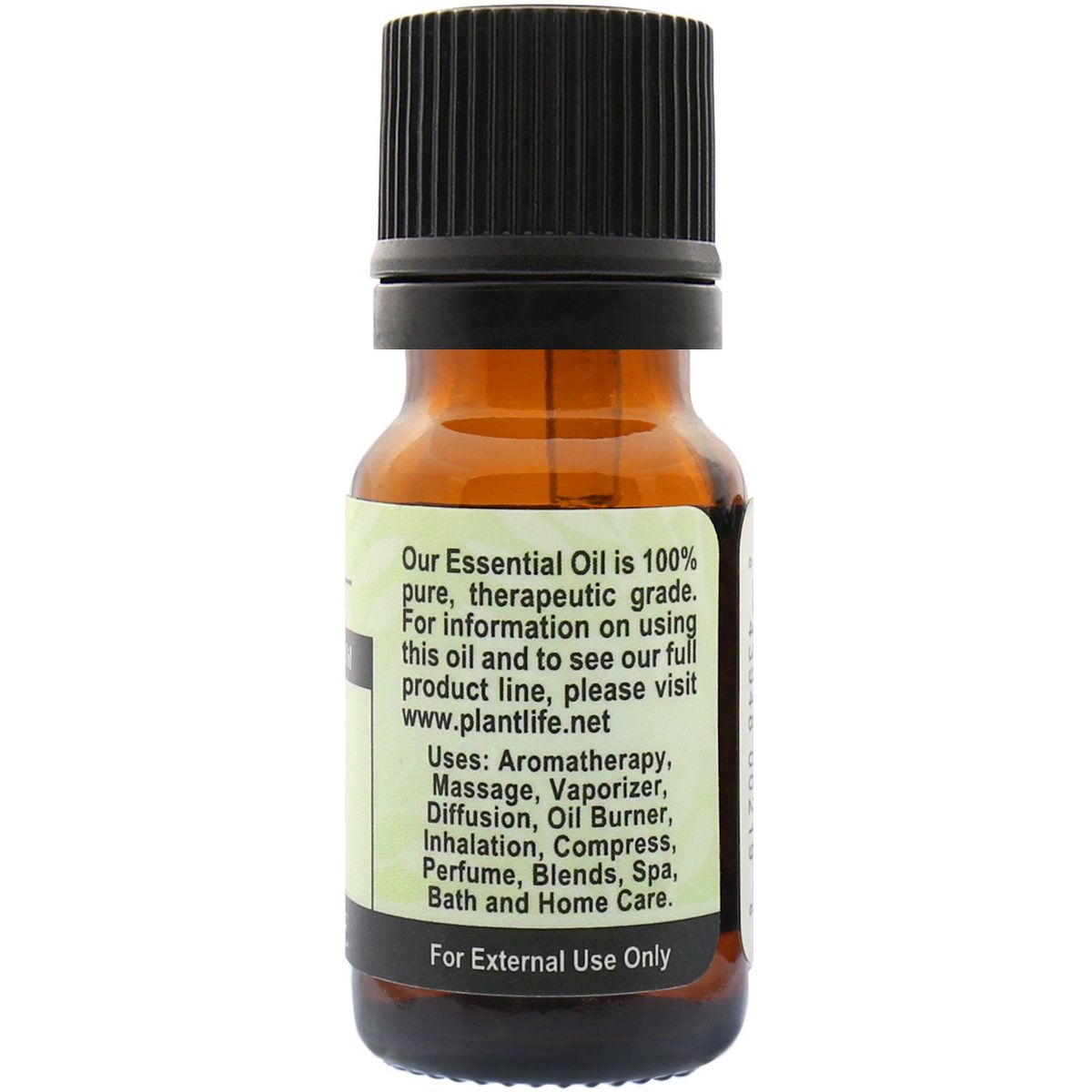 Plantlife Bay Leaf Aromatherapy Essential Oil – 100% Pure, Therapeutic Grade, No Additives or Fillers, 10 ml - thumbnail 2
