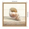 Amanti Art Driftwood Shell I by Danhui Nai Canvas Wall Art Print Framed 16 x 16-in. - image 4 of 4