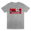 MLB St. Louis Cardinals Toddler Boys' 2pk Gray T-Shirt - 2 of 3