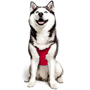 PRODOGG™ ANTI-ANXIETY COMPRESSION SHIRT FOR 3XL-5XL 159101C - 1 of 4