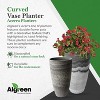 Algreen Acerra Curved Yard & Patio Vase Garden Planter - image 3 of 4