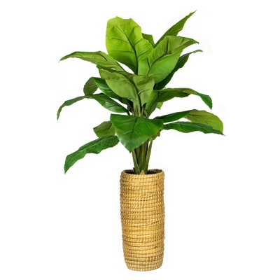 48" x 26" Artificial Spath Plant in Cylinder Basket - LCG Florals