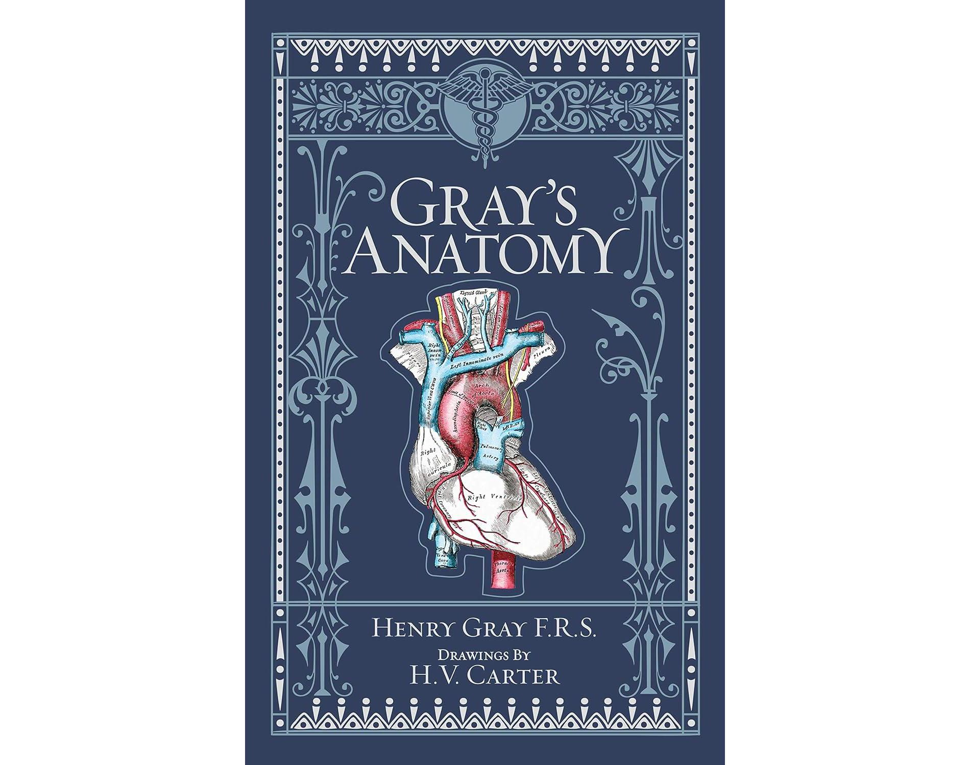 Gray's Anatomy by Dr. Henry Gray - Barnes & Noble Edition