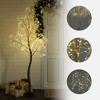 LuxenHome 5.9 Pre-Lit Birch Artificial Tree with Realistic Faux Tree Trunk Brown - 4 of 4