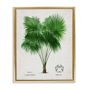 Stupell Industries Vintage Fan Palm Plant Floating Frame Canvas Art - 1 of 4
