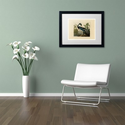 Louisiana Heron Bird Canvas Art with Black Frame