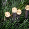 Northlight LED G12 Berry Christmas Lights - Warm White - 16' Black Wire - 50 ct - 2 of 4