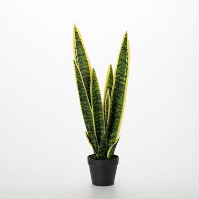 Sullivans Artificial 22" Potted Sansevieria Plant, Green
