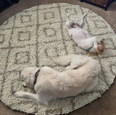 Guest review image 2 of 3, zoom in