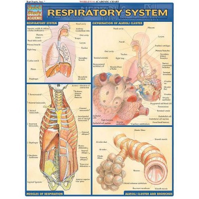 Respiratory System - (Quickstudy: Academic) by  Vincent Perez (Poster)