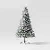 7.5' Pre-Lit Flocked Full Alberta Spruce Artficial Christmas Tree with Warm White LED Lights - Wondershop™ - 3 of 4