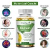 Mulittea Mullein Leaf Capsules Herbal Supplement Supports Respiratory Function Health,120 Count - 4 of 4