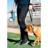 Dexas SnackDuo with Travel Cup - Blue - 4 of 4