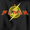 Boy's The Flash Animated Logo Pull Over Hoodie - 2 of 4