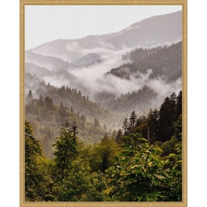 Amanti Art Great Smoky Mountains by Del Mundo Imagery Canvas Wall Art Print Framed - 1 of 4