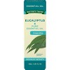 Nature's Truth Eucalyptus Aromatherapy Essential Oil - 0.51 fl oz - image 3 of 4
