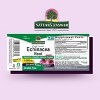Nature's Answer Echinacea Liquid 1000mg 2 Oz - 2 of 4
