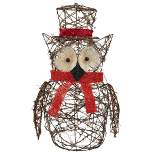 Northlight 21" Lighted Glitter Rattan Owl Christmas Outdoor Decoration