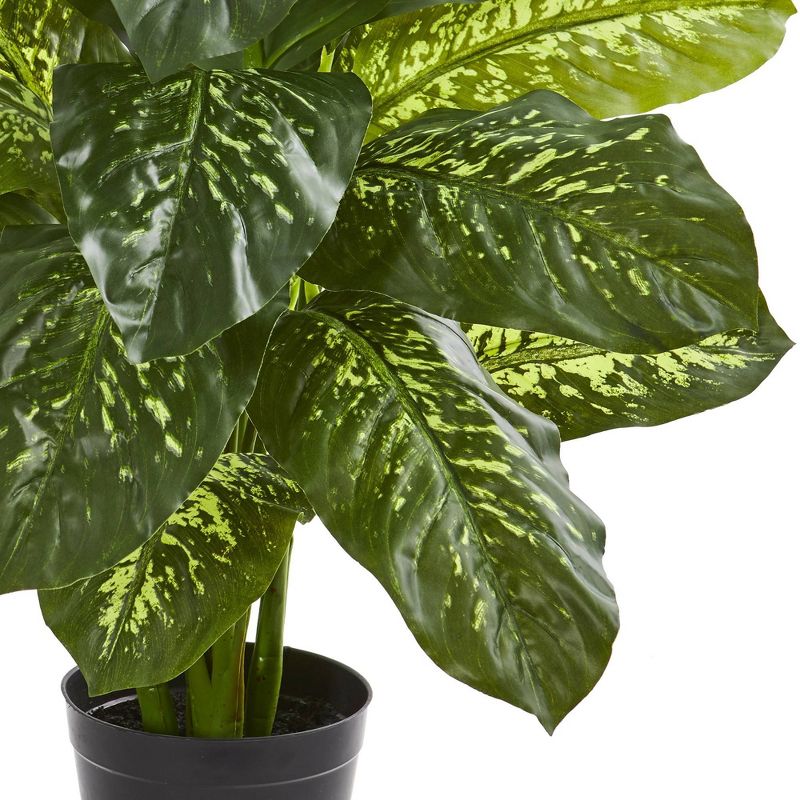 34&#34; x 22&#34; Artificial Dieffenbachia Plant in Pot - Nearly Natural, 4 of 5