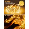 FAAYFIAN 10 ft 120-LED Firecracker Fairy Lights, Battery Operated Copper Wire Starry String Lights - 4 of 4