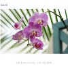 Sony G-Series E PZ 18-105 mm F4 G OSS Lens for Sony (SELP18105G) - 3 of 4