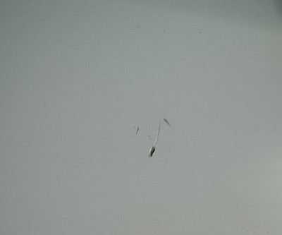 Guest review image 2 of 2, zoom in