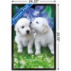 Trends International Keith Kimberlin - White Golden Retriever Puppies Framed Wall Poster Prints - 3 of 4