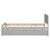 Contemporary Single-Size Platform Bed Frame with 2 Drawers in Whitewashed Finish - 4 of 4
