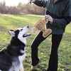Pavilion Gift Company - World's Best Dog - 11.25" Canvas Dog Toy on Rope - Pet Toy - 2 of 4