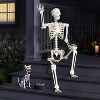 60" Poseable Skeleton Halloween Decorative Prop Iridescent - Hyde and EEK! Boutique™ - 2 of 3