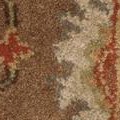 moss/rust