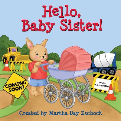 Hello, Baby Sister! - (Hello!) (Board Book)