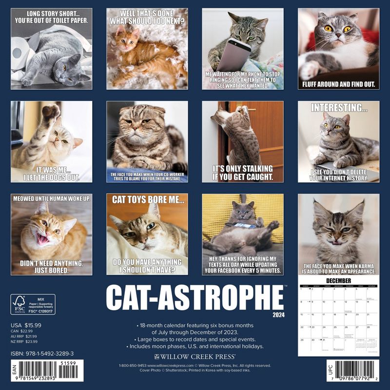 Willow Creek Press 2024 Wall Calendar 12&#34;x12&#34; Cat-Astrophe, 2 of 4