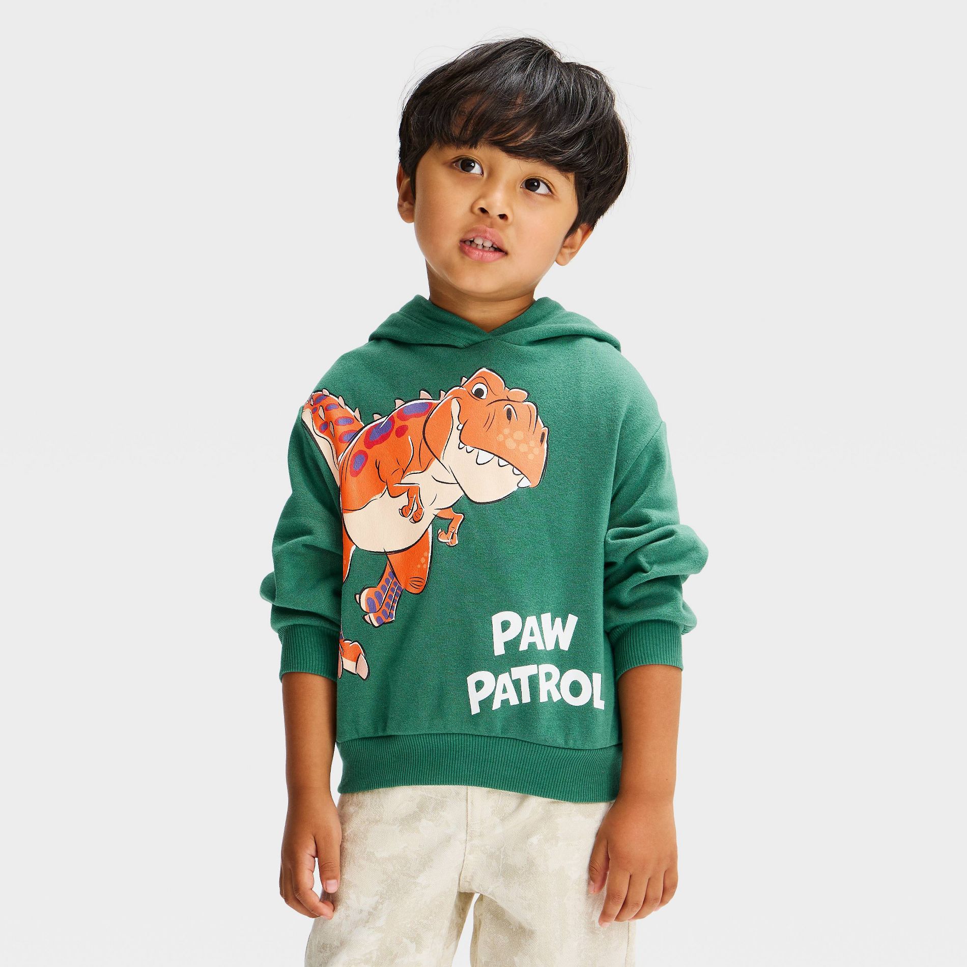 Toddler Boys' Paw Patrol Dino Hooded Graphic Sweatshirt - Green