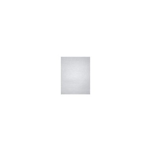 LUX 105 lb. Cardstock Paper 11" x 17" Silver Metallic 50 Sheets/Ream (1117-C-M06-50) - 1 of 1