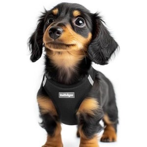 rabbitgoo Small Dog Harness, Step-in Soft Mesh Reflective Pet Harness for Extra Small Dogs, Black XXS - 1 of 1