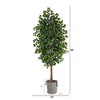 Nearly Natural 8-ft Ficus Artificial Tree in Handmade Black and White Natural Jute and Cotton Planter - 2 of 4