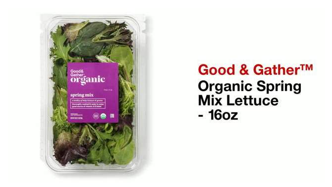 Organic Spring Mix Lettuce - 16oz - Good &#38; Gather&#8482;, 2 of 5, play video