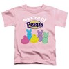 Easter My Kind Of Peeps Kids T Shirt for Toddlers, Pink - 2 of 4
