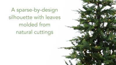 HomeStock  Neo-Classical Nostalgia 4Ft. North Carolina Spruce Artificial Christmas Tree With 100 Clear Lights And 207 Bendable Branches
