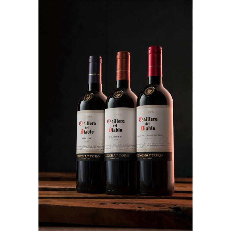 Casillero Del Diablo Malbec Red Wine - 750ml Bottle, 5 of 6