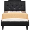 Passion Furniture Deb Jewel and Tufted Twin Panel Bed - 2 of 4