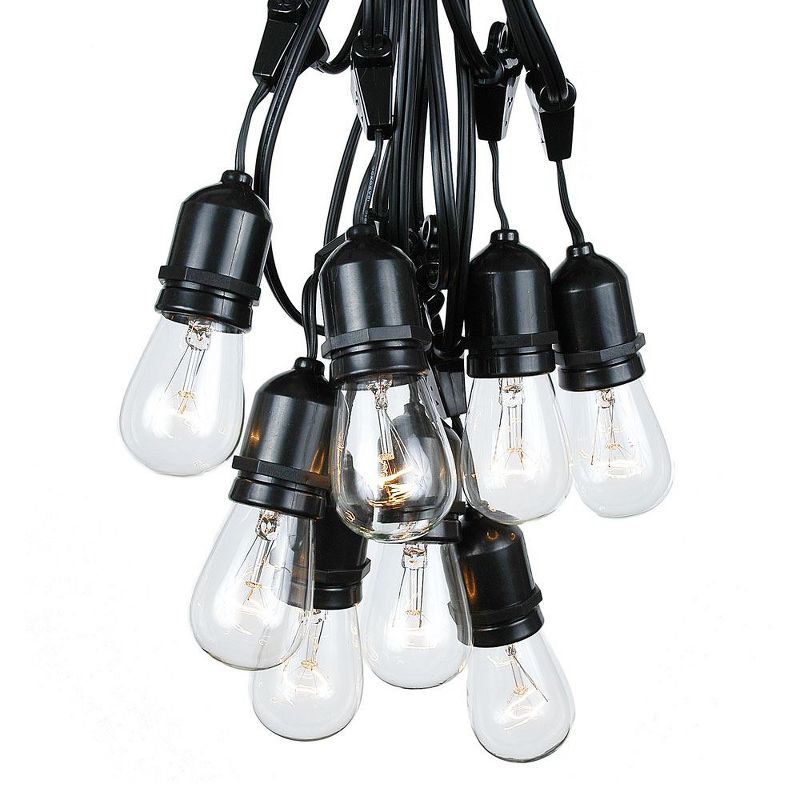 Novelty Lights Edison Outdoor String Lights with 50 Suspended Sockets Black Wire 100 Feet, 1 of 6