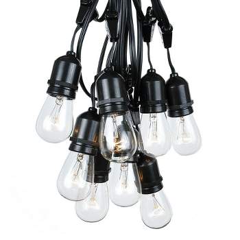 Novelty Lights Edison Outdoor String Lights with 15 Suspended Sockets Black Wire 48 Feet